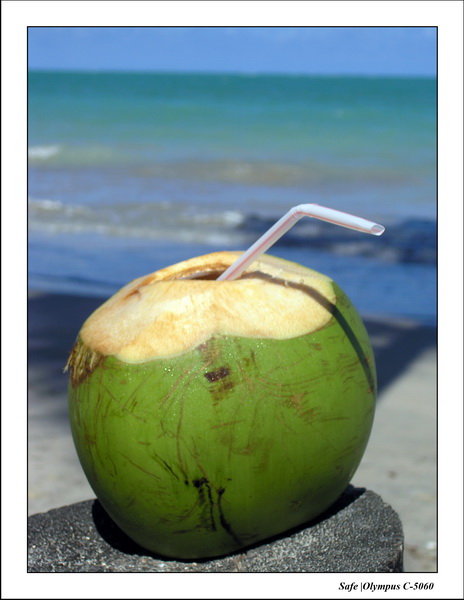 2005 - 11 - Maragogi - plage pousada 20.JPG